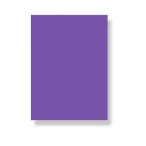 Hard Chart Paper Purple [PD][1Pc]